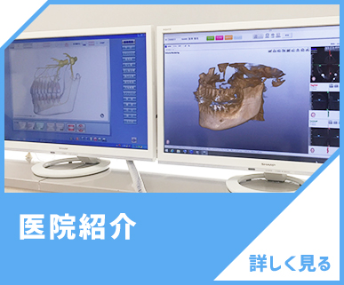 診療案内